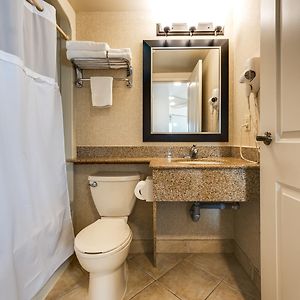 Queen Suite